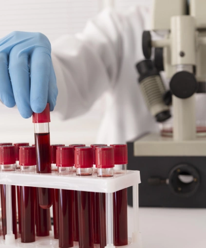 Best diagnostic centre in Bhayli - Curepath Diagnostics